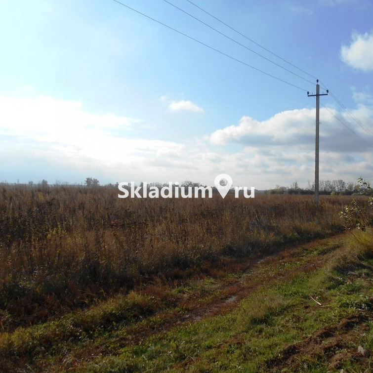 Складской комплекс Московская обл, Раменское, село Софьино фото